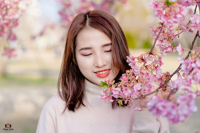 Free Sakura Japan photo and picture