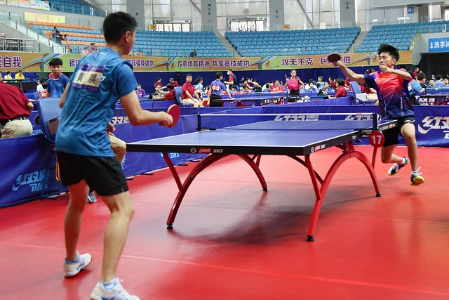 Free Pingpong Teenager photo and picture