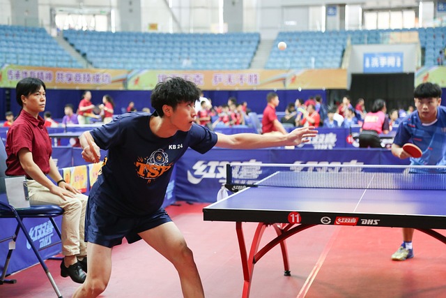 Free Pingpong Teenager photo and picture