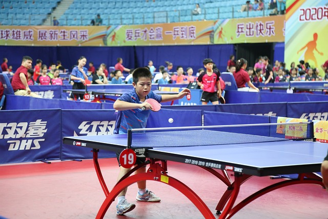Free Pingpong Teenager photo and picture