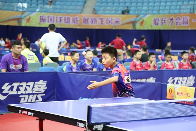 Free Pingpong Teenager photo and picture