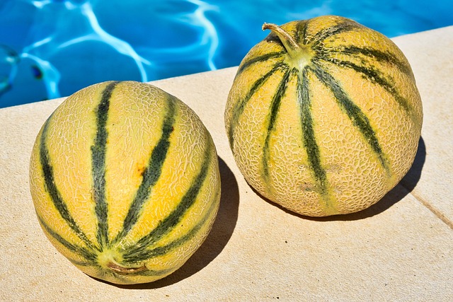 Melony Owoc Basen Przy - Darmowe zdjęcie na Pixabay - Pixabay
