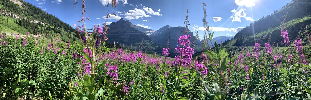 Free Mountains Montana photo and picture