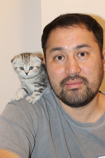 Free Man And Cat Kitten photo and picture