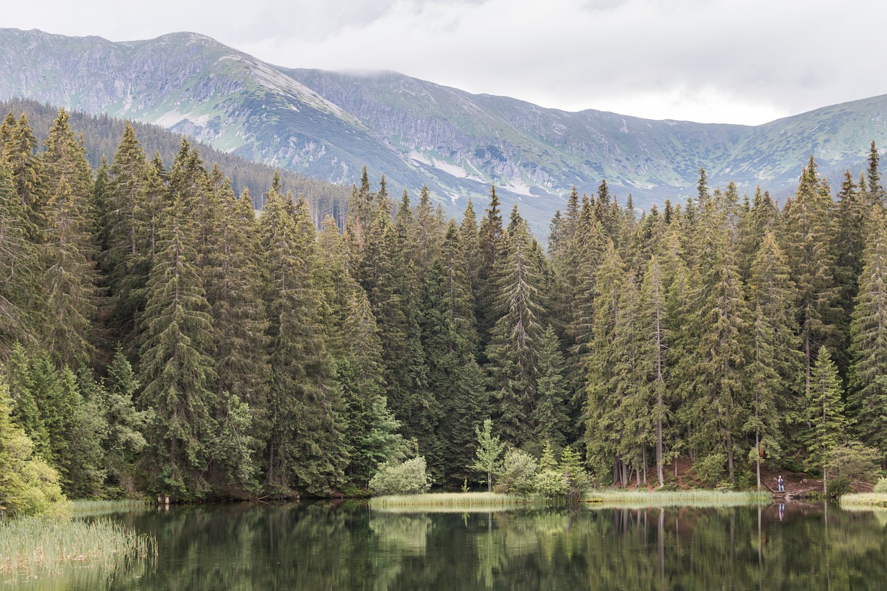 Vrbické pleso a okolitá príroda Liptova