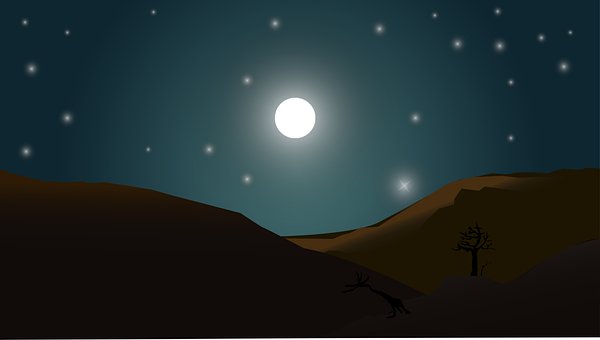 Free Night Scene Landscape photo and picture