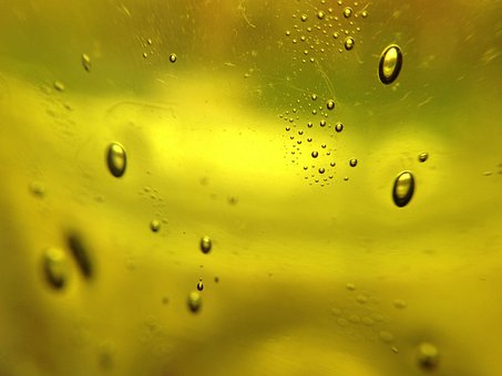 Free Background Green photo and picture