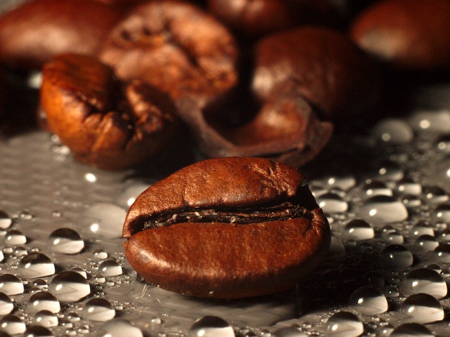 Free Coffee Coffee Beans photo and picture
