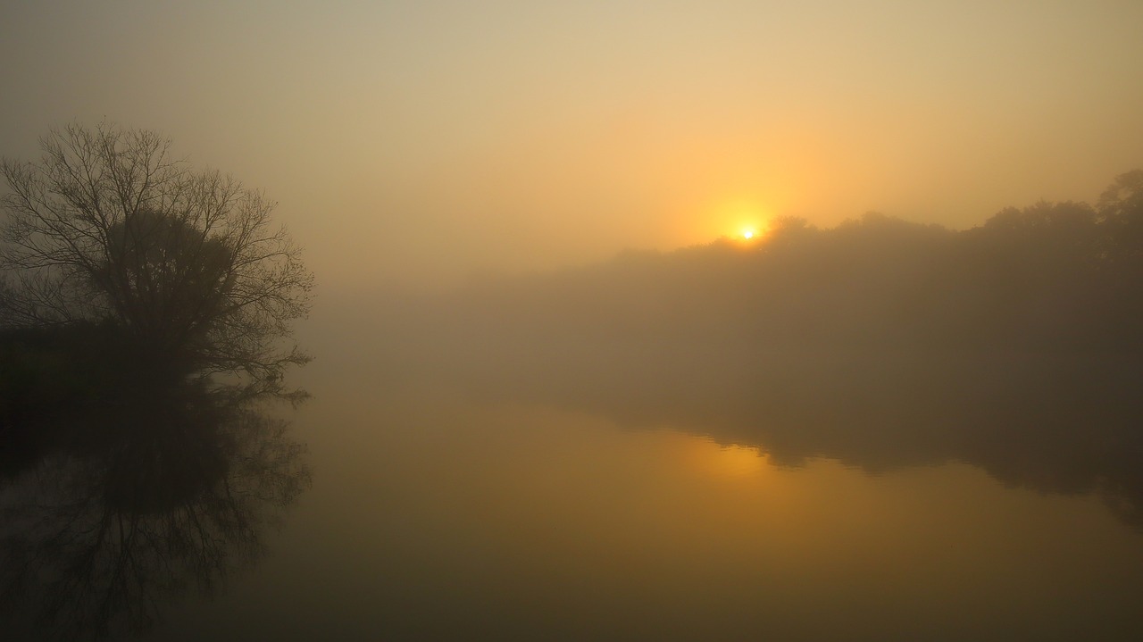 Amanecer Árbol Río - Foto gratis en Pixabay - Pixabay