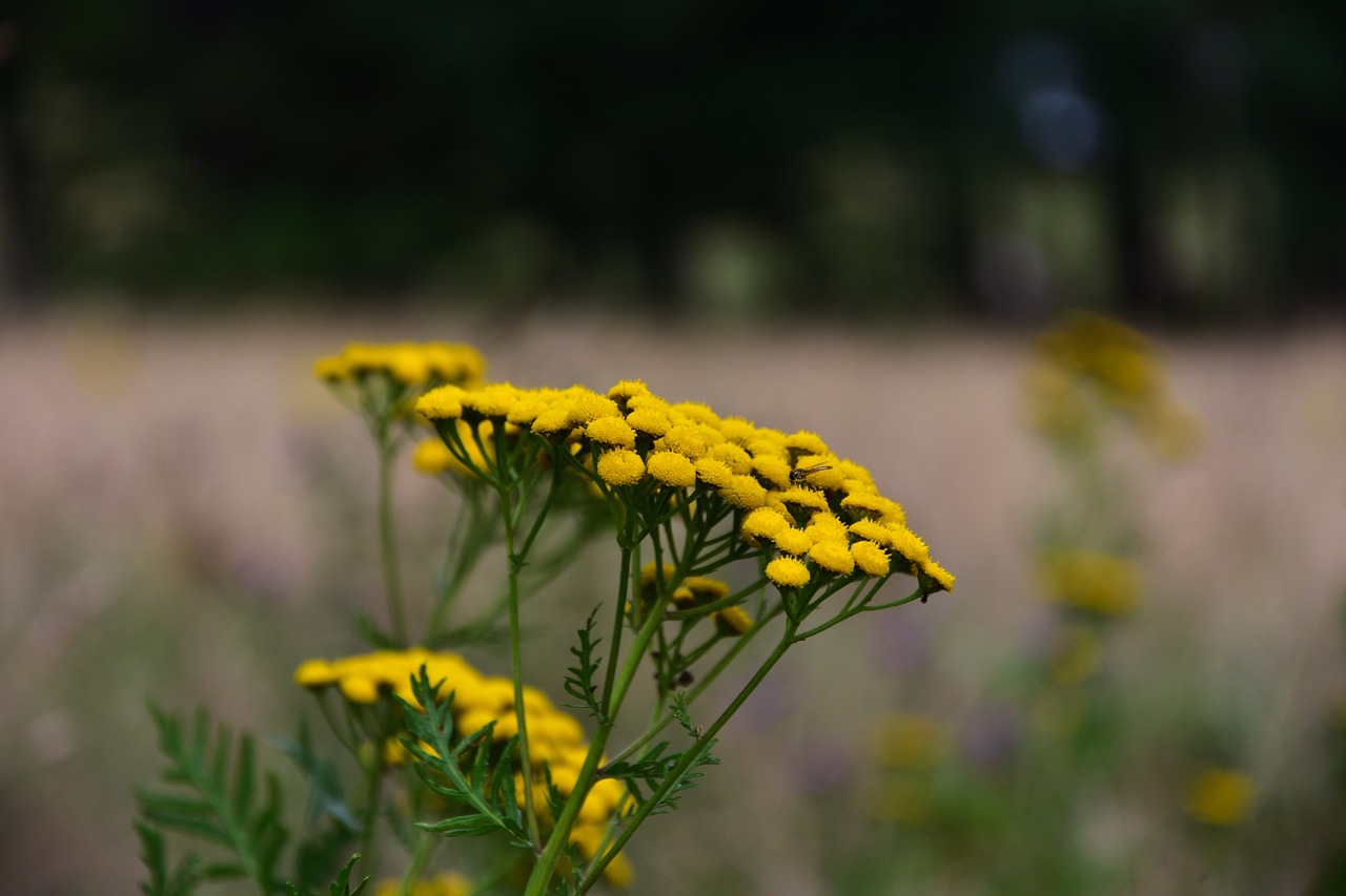 Discover and download free images - Pixabay