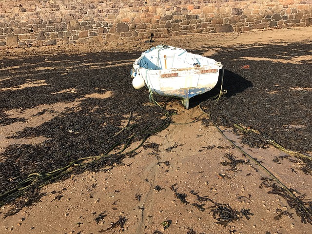 Båd, Strand, Ferie, Hav, Vand, Skib, Ø