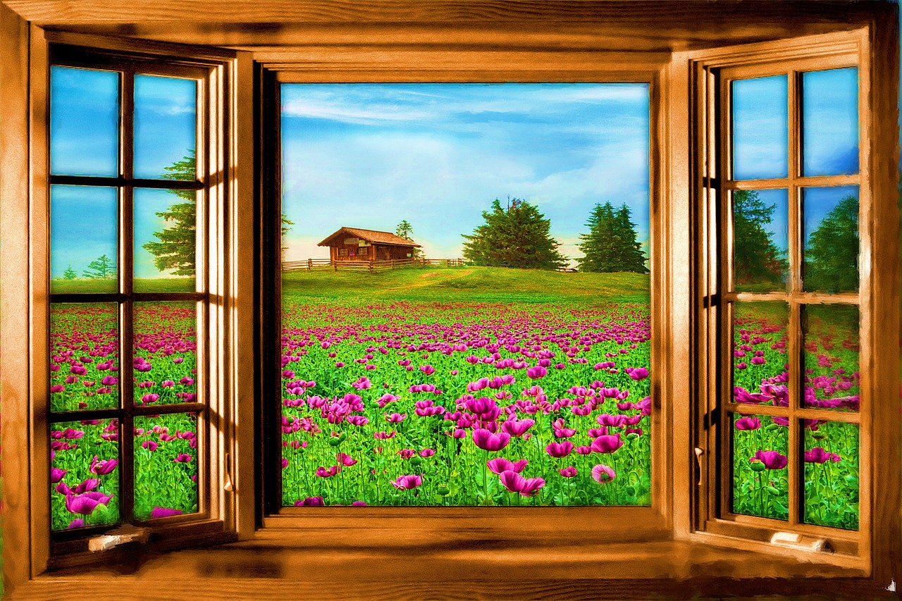 窗户 花朵 看法 - Pixabay上的免费照片 - Pixabay