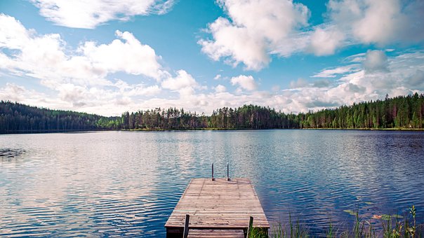 Pier, Meer, Woud, Bomen, Water