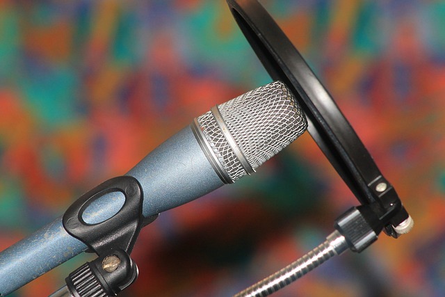 Free Mic Microphone photo and picture