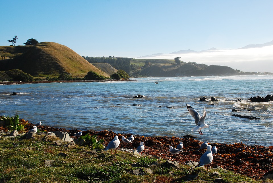 Mountains and coastline near Kaikoura in New Zealand under a dramatic sky