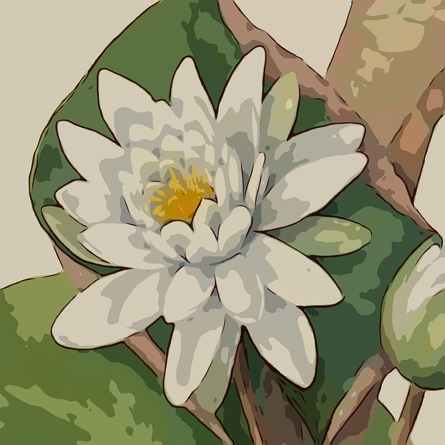 Blomst, Plante, Blomst Baggrund, Natur