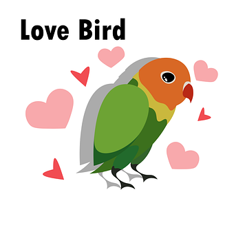 Free Lovebird Parrot illustration and picture
