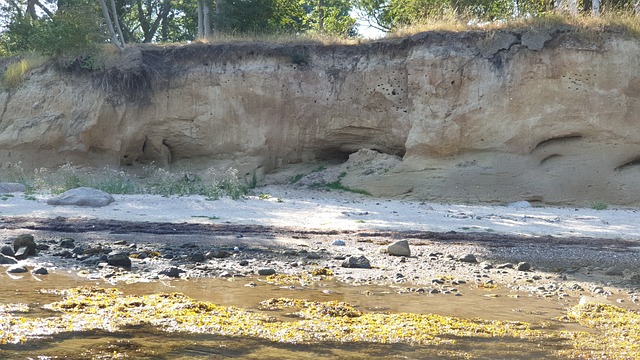 Free Cliff Baltic Sea photo and picture