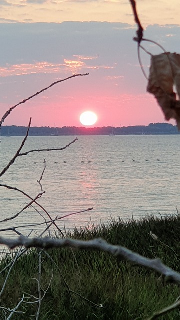 Free Sunrise Baltic Sea photo and picture