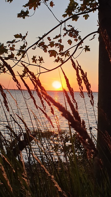 Free Sunrise Baltic Sea photo and picture