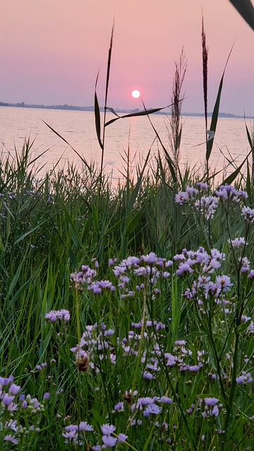 Free Sunrise Baltic Sea photo and picture