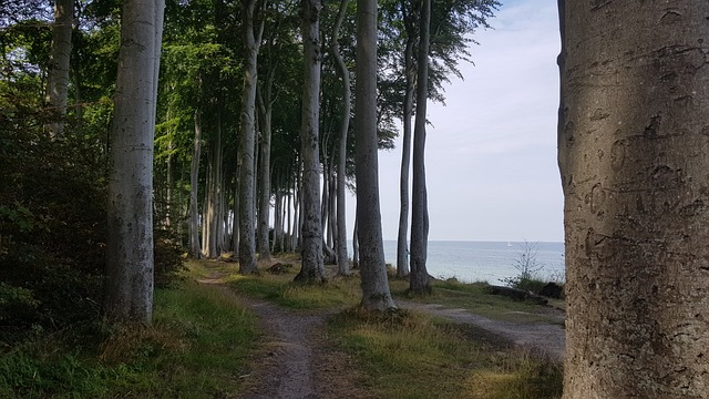 Free Ostsee Küste photo and picture