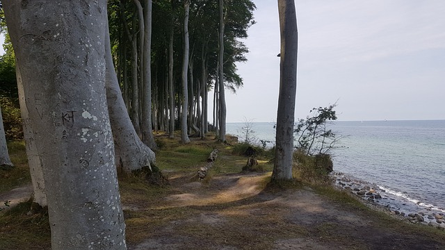 Free Ostsee Küste photo and picture