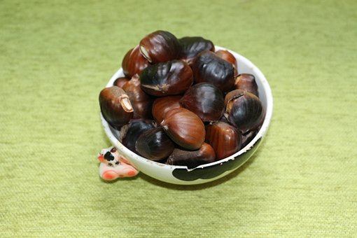 Kastanjer, Ristede, Efterår, Tradition