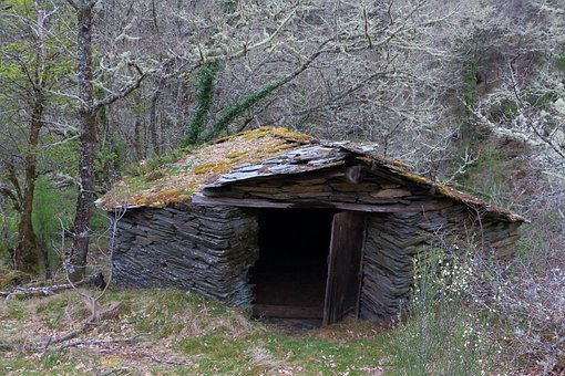 Caurel, Skov, Natur, Efterår, Træer