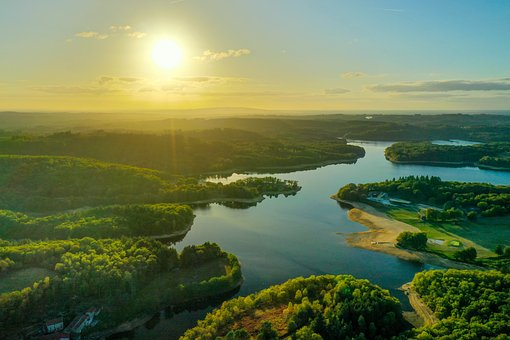 Free Sunlight Nature photo and picture