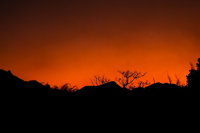 Free Sky Sunset photo and picture
