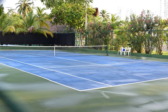 Free Tennis Hilton photo and picture