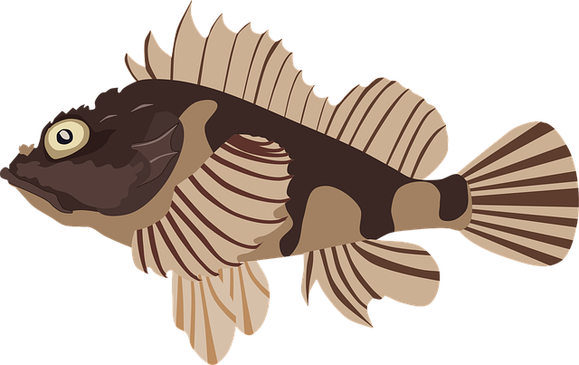 Free scorpionfish fish nature vector
