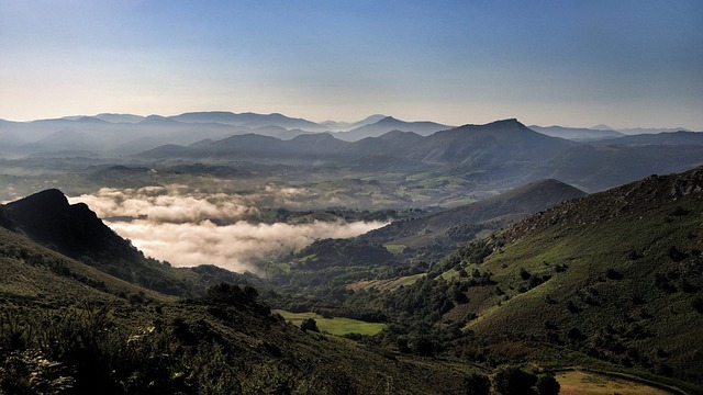 Free Mountains Forest photo and picture