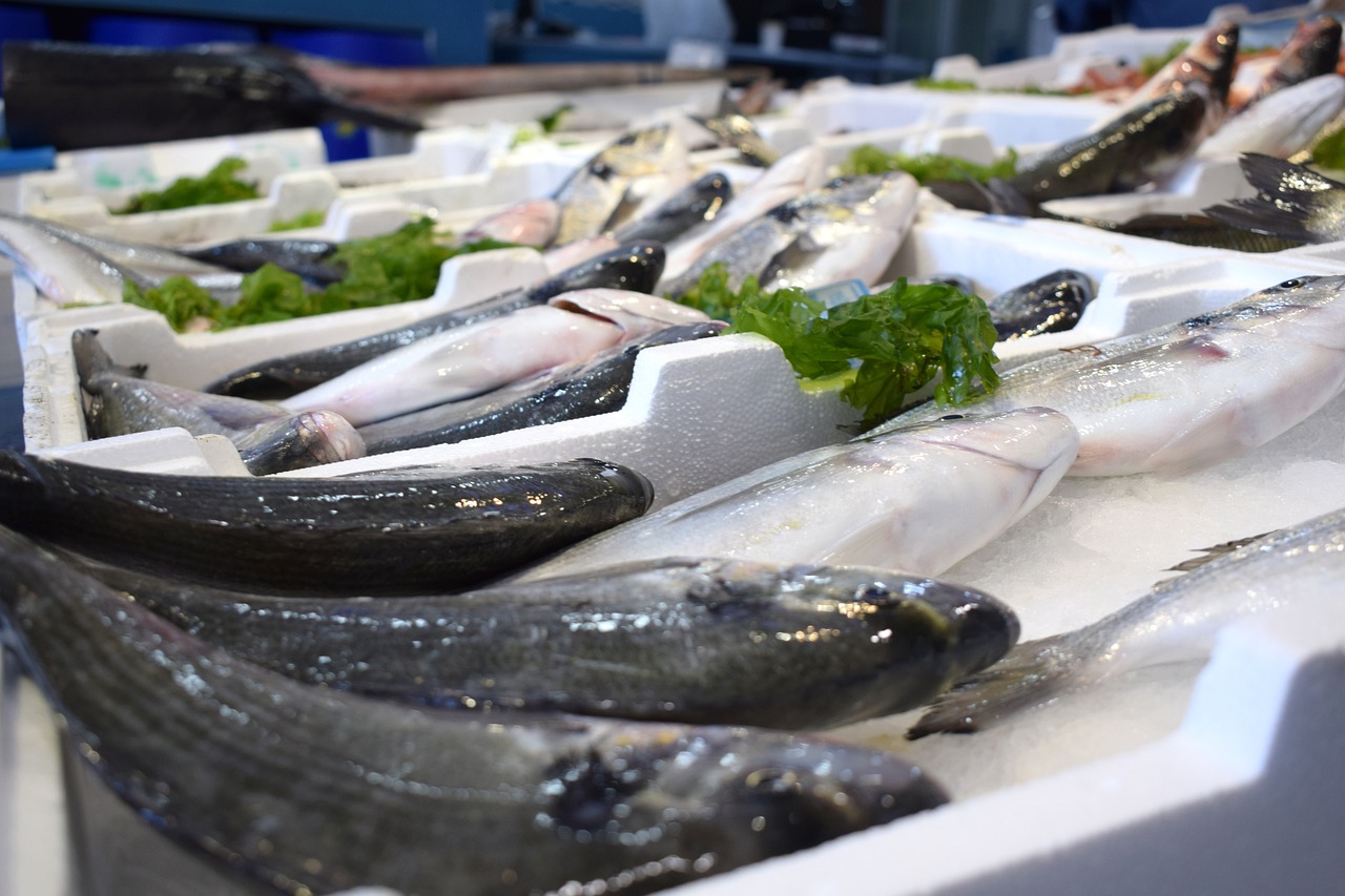 Sea Bass Fish Counter Free photo on Pixabay Pixabay