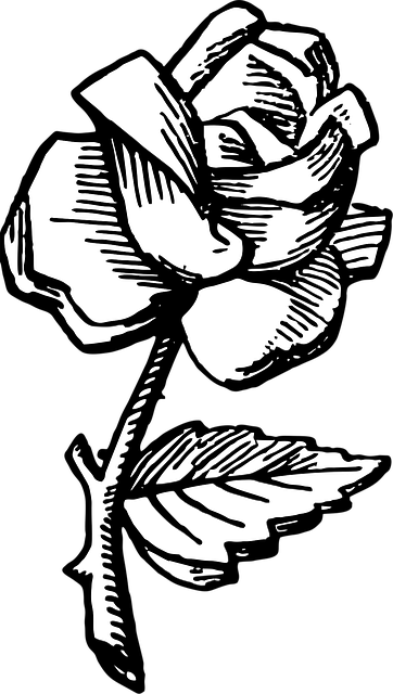 Free rose flower rose flower vector
