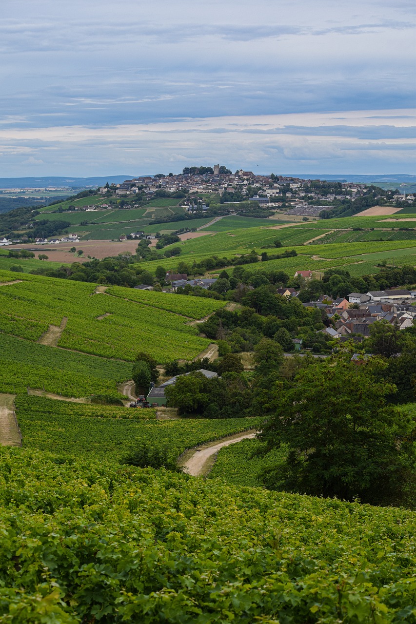 Vineyards Sancerre France - Free photo on Pixabay - Pixabay