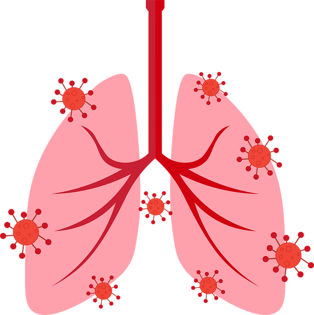 Free breath lungs respiratory illustration