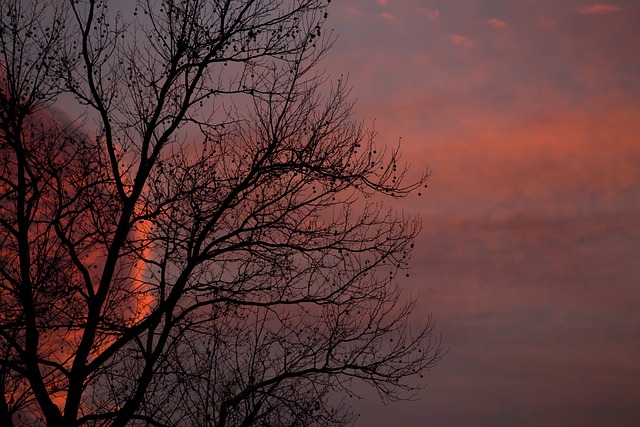 Free Evening Sky photo and picture