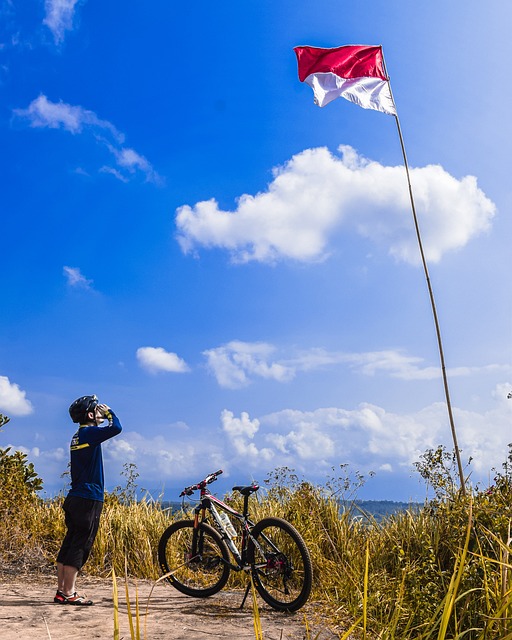 Free Flag Bicycle photo and picture