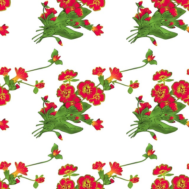 Free primula primrose seamless illustration