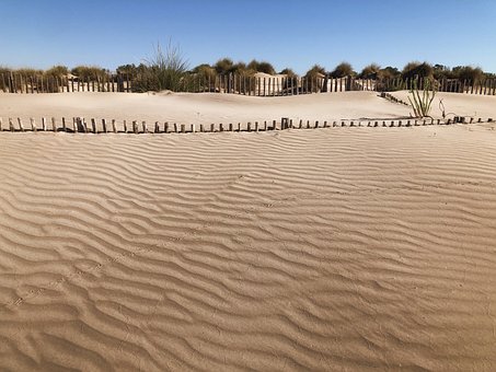 Free Beach Dune photo and picture
