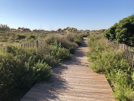 Free Dune Path photo and picture