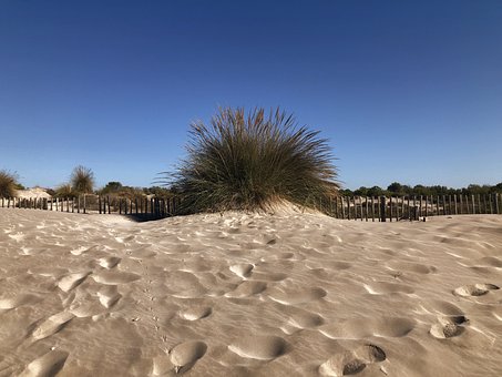 Free Beach Dune photo and picture