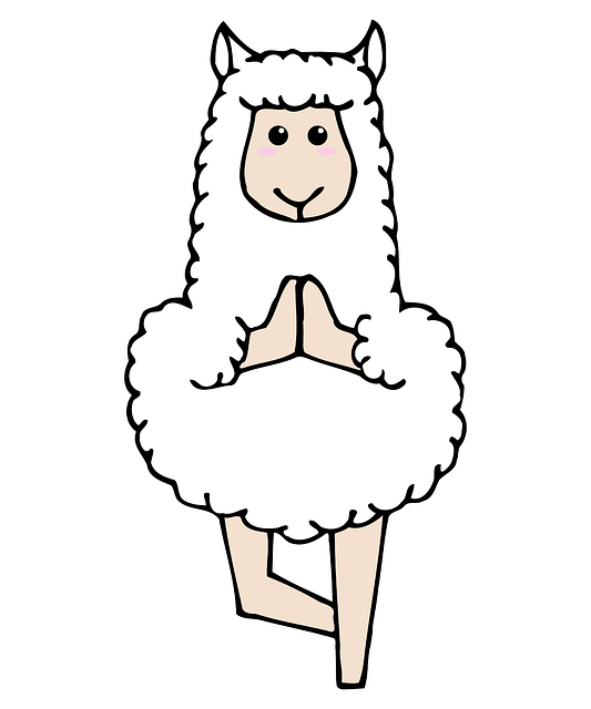 Free Llama Nature illustration and picture