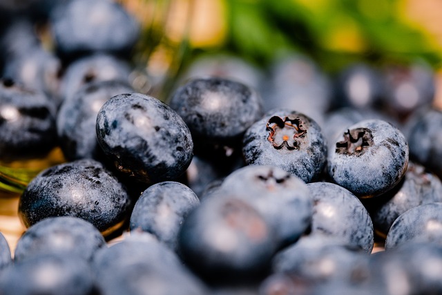 Free Blueberries Berries photo and picture
