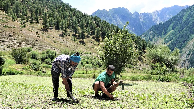 Free Lahaul Spiti Farmer Natural Farming photo and picture