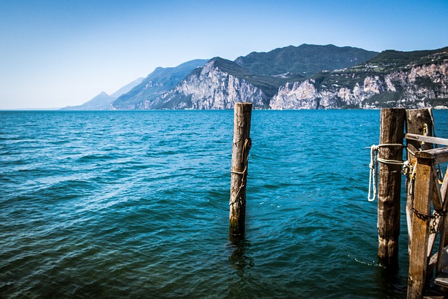 Free The Needle Mountains photo and picture