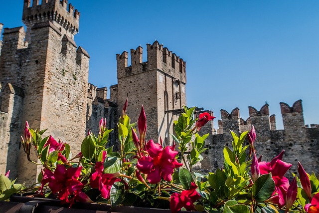 Free Castle Sirmione photo and picture