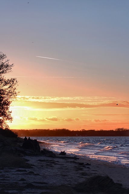 Free Beach Water photo and picture